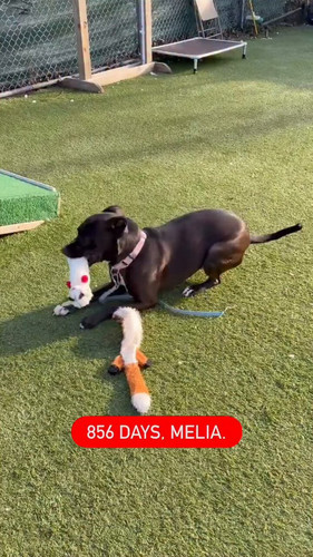 jwTMY9 yUYGdmEDx.jpg