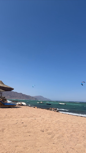 7E239162 9579 43C7 9758 C3987D258712.jpg