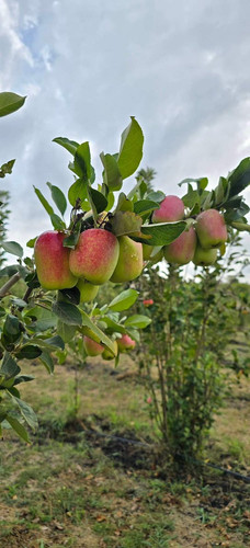 G tLtrrWYAAGMey?format=jpg.jpg