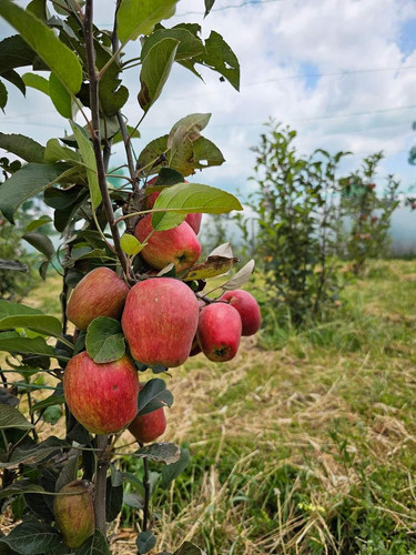 G tLtsVbQAAls5d?format=jpg.jpg