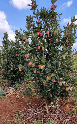 G tLtsUWwAE8RSY?format=jpg.jpg