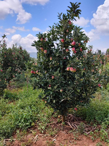 G tLt1GbQAIcVwe?format=jpg.jpg