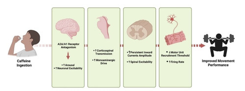 G neCQdXUAAufkD?format=jpg.jpg