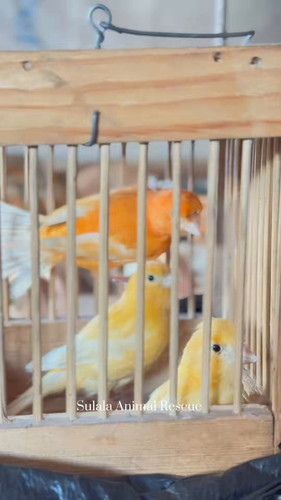 jG9xz6sZurwn5fi .jpg