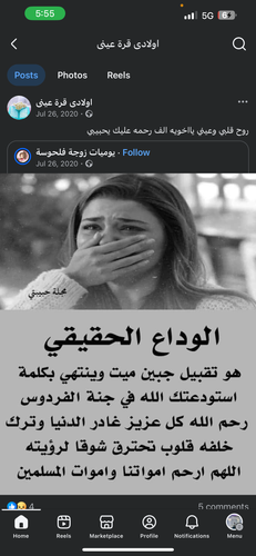 IMG 6537.png