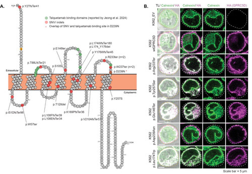 G t81LYbQAIzSNI?format=jpg.jpg
