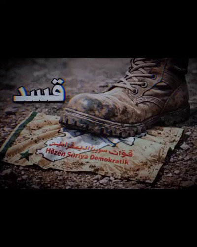 OYQHXUU s7OpsMo2.jpg