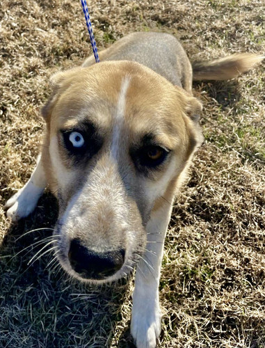 G rDPjNbQAEbukp?format=jpg.jpg