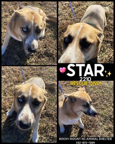 G ikANbXIAEX052?format=jpg.jpg