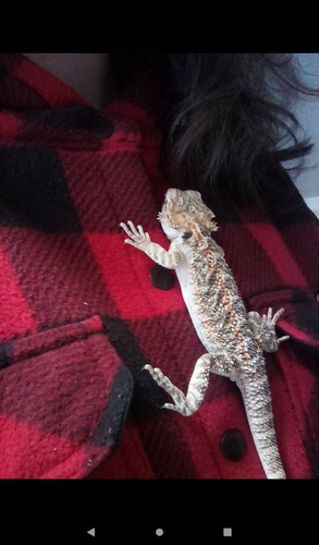 Screenshot 20260115 144525.png