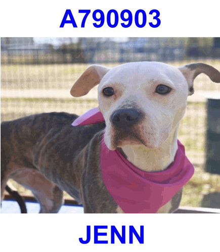 G qsgxbbQAA0efM?format=jpg.jpg