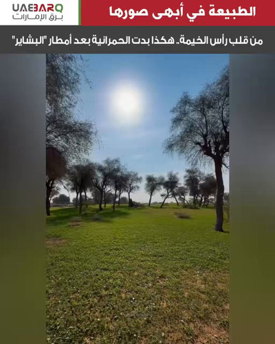 lLNT yPhso6A0B8z.jpg