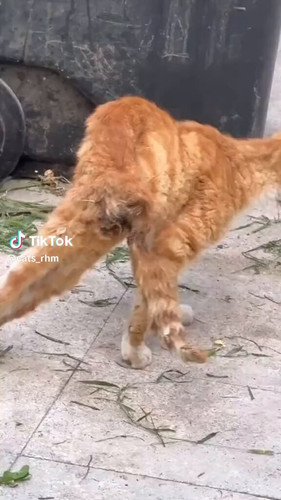 Bz A5BsOnwz7CJ v.jpg