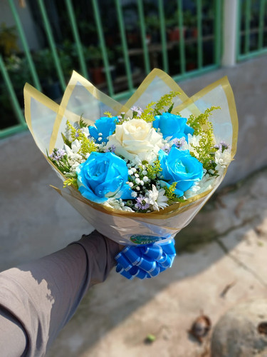 WhatsApp Image 2025 12 25 at 21.19.33 (1).jpg