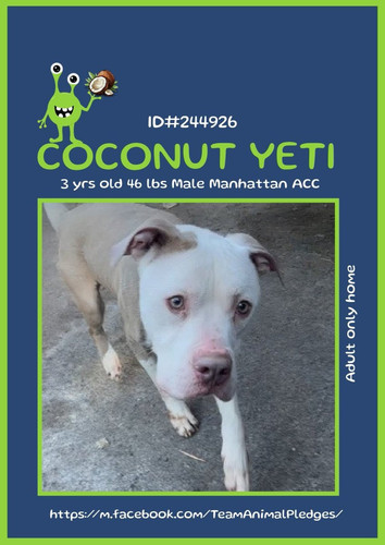 G O5E4MXcAAiqV5?format=jpg.jpg