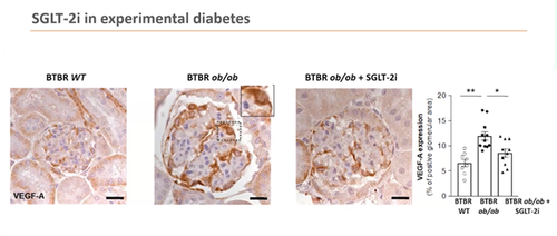 G ulOKubQAQJpYs?format=png.png