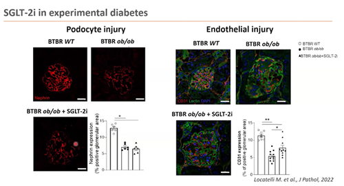 G uknLdaMAAlFFH?format=png.png