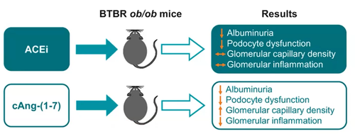 G uj8MlbQAERs4L?format=png.png