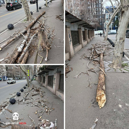 HN NbLPvVqwRXrXV1N5Mcxby0q6tlwYgYJK6XCsk3IszhVFziy8CiARxO084Uiv8ry9RdgdW5YUCkjukNlyvcN5HDyPDMD42jSKX.jpg