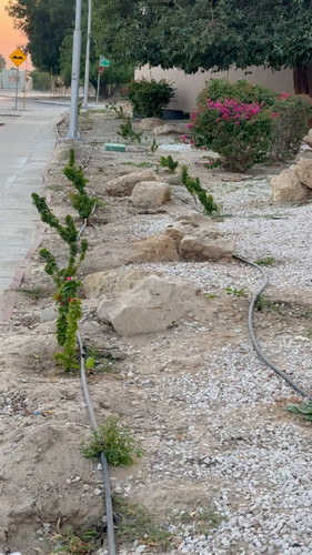 lE KLIjY30INFyvC.jpg