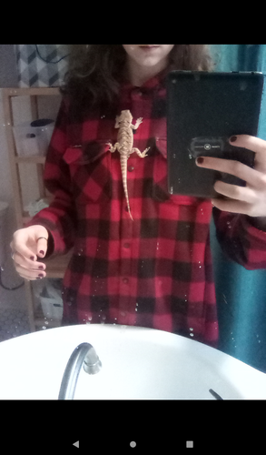 Screenshot 20260115 144515.png