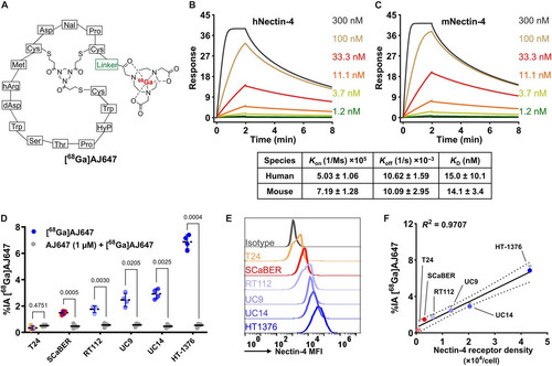 G sX7gbXsAARkjG?format=jpg.jpg