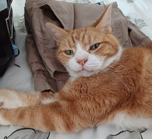 G uf9JhbIAAfb55?format=jpg.jpg