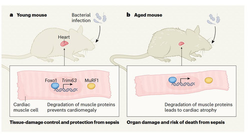 G pHgE3bQAI1qSS?format=jpg.jpg