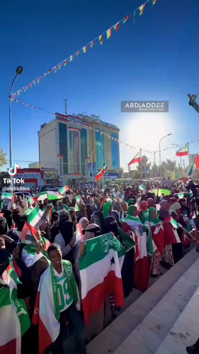 4OO2PG2DetHG3 3u.jpg