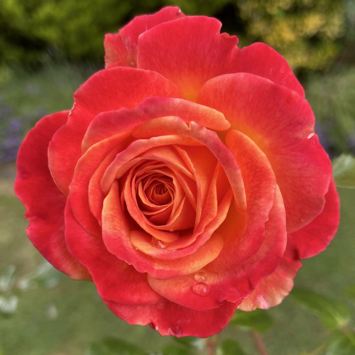 G sq 7UXYAAG Dh?format=jpg.jpg