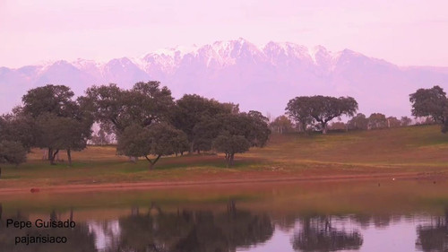 JyjRqXACVm535T 0.jpg