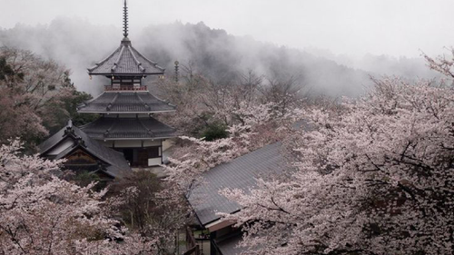 New Project 2026 01 15T151129.672.png