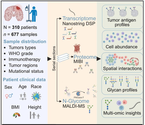G ryKJjaQAAzJRP?format=jpg.jpg
