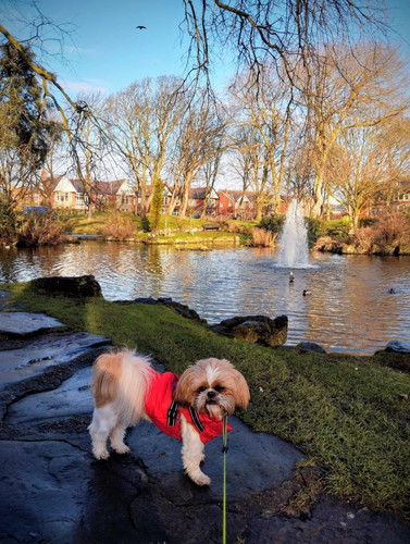 G szB1BbQAIIgaQ?format=jpg.jpg