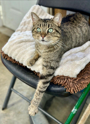 616566543 1372078224960713 1667544107575037634 n.jpg