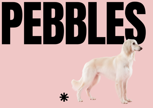 Gray and Black Minimalist Fashion Style Banner (A5 (Landscape)).png