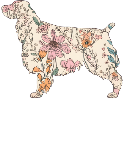 20260115 English Springer.png