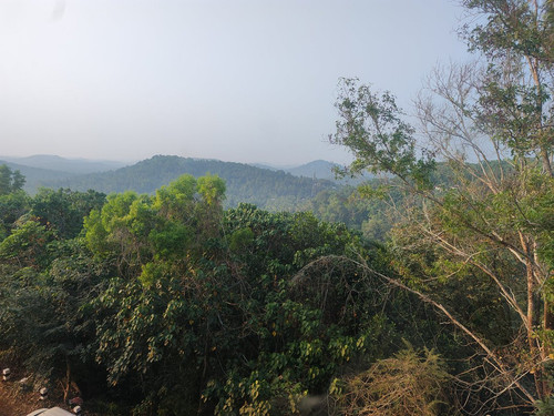 G s VHxbQAMl8Wp?format=jpg.jpg