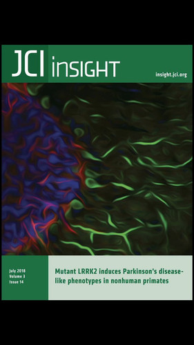 i N2iYp0p2Zx4THW.jpg