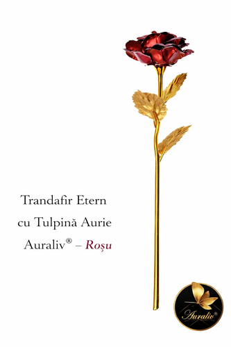 Trandafir rosu 2.png