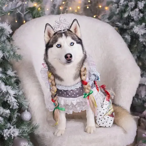 cad66413 60a8 4518 8931 3643484ba9f5.webp