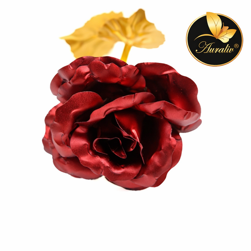 Trandafir rosu 5.png