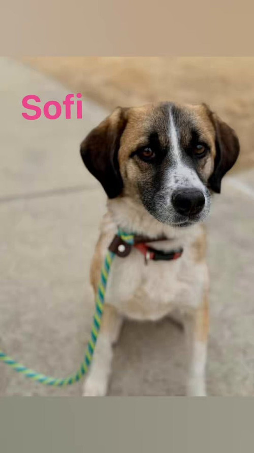 hM5p0dttg yogijG.jpg