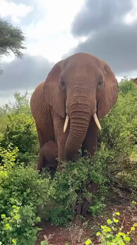 I qCSWtwjoefbvdS.jpg