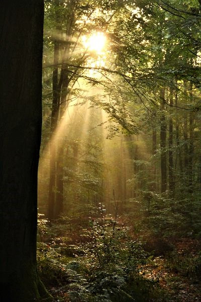 G xeNKpW8AAUXgI?format=jpg.jpg