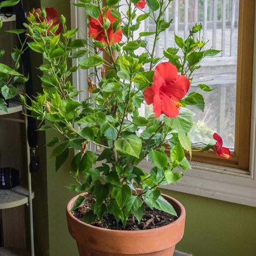 71TaYd3Cc7L. SL1500 .jpg