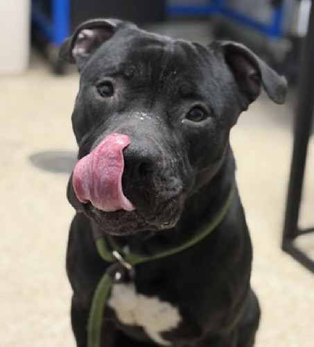 G K5ZLdWkAAH42U?format=jpg.jpg