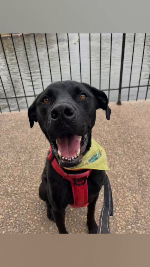 IGsiw lMO9FBcuof.jpg