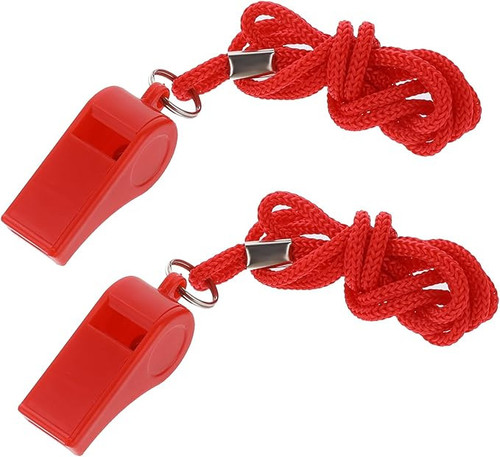 61UrQV0aOyL. AC SX679 .jpg