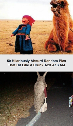 ig tt comments 8a04f64e e89c 4935 9ee7 ff9cd2daf27b.png